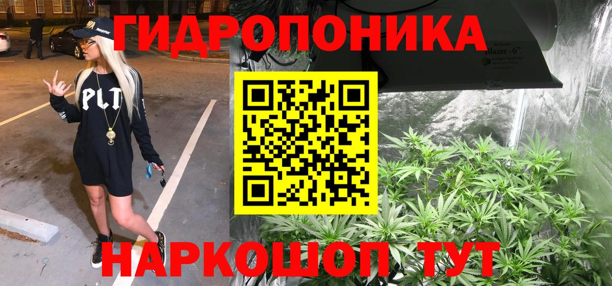 Шишки марихуана OG Kush Донской